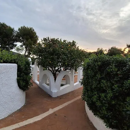 Arcos *